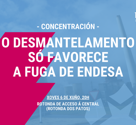 Mani6Xuño_Endesa